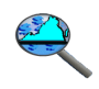 Data Point Logo - Magnifying glass over the state of Virginia